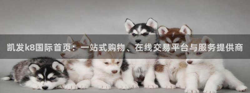 摩臣5平台app下载官网：凯发k8国际首页：一站式购物、在线交易平台与服务提供商