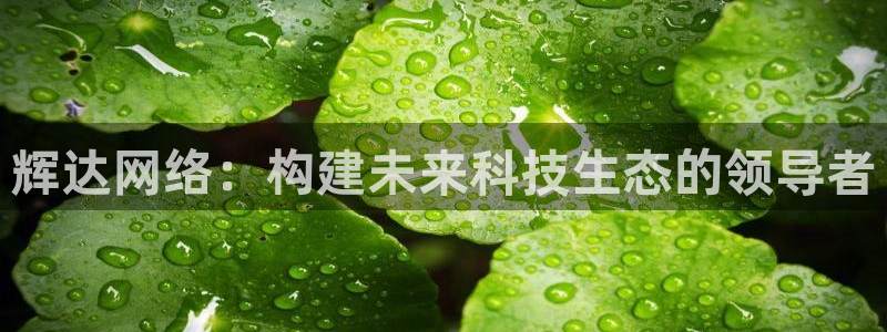 摩臣5平台下载：辉达网络：构建未来科技生态的领导者