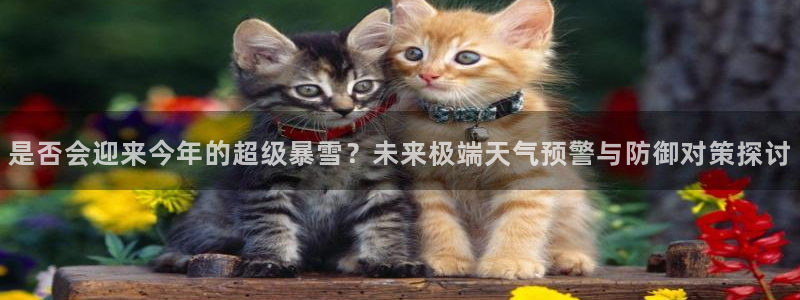 摩臣5平台网站平台登录：是否会迎来今年的超级暴雪？未来极端天气预警与防御对策探讨