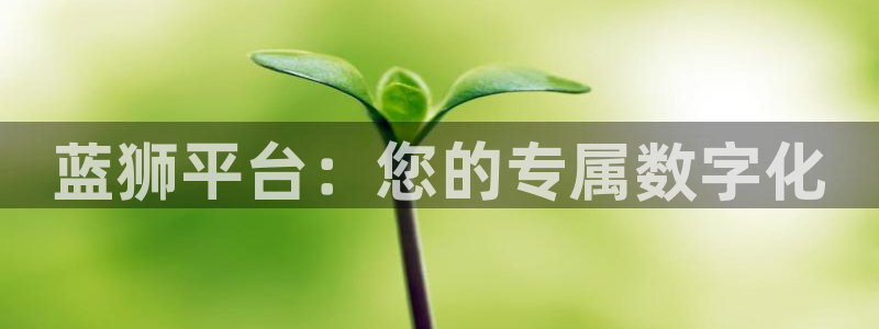 摩臣5平台强制退款流程详解：蓝狮平台：您的专属数字化