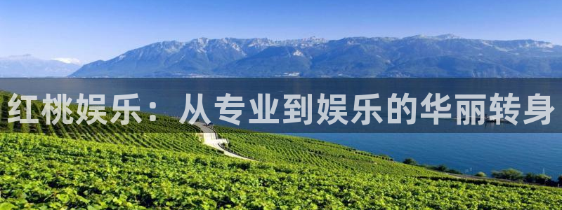 摩臣5平台平台官网登录入口：红桃娱乐：从专业到娱乐的华丽转身