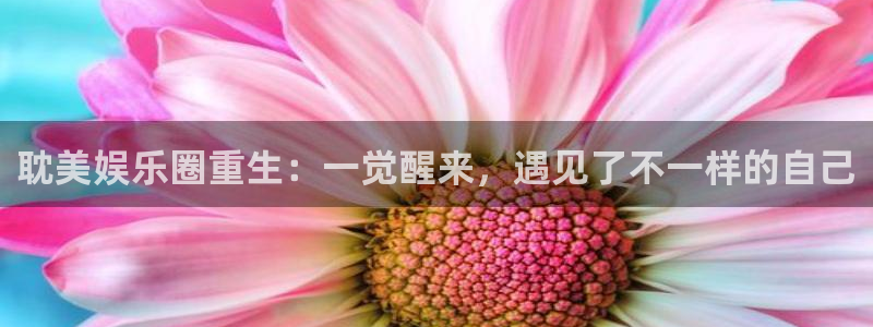摩臣5平台app新版上线体验.游戏更新入口.中国：耽美娱乐圈重生：一觉醒来，遇见了不一样的自己