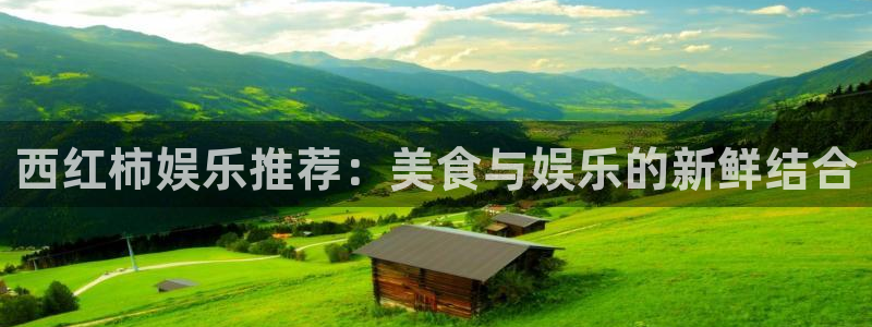 摩臣5平台电子游戏网页版：西红柿娱乐推荐：美食与娱乐的新鲜结合