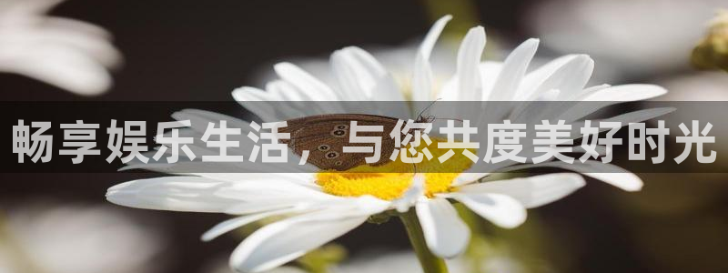摩臣5平台官方网站：畅享娱乐生活，与您共度美好时光