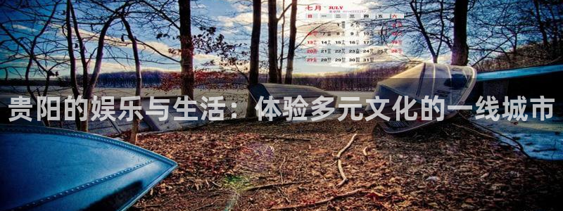 摩臣5平台登录网：贵阳的娱乐与生活：体验多元文化的一线城市