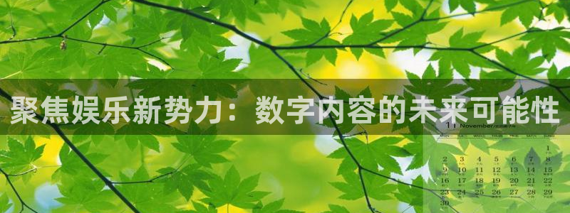 摩臣5平台ccmpc麻将胡了：聚焦娱乐新势力：数字内容的未来可能性