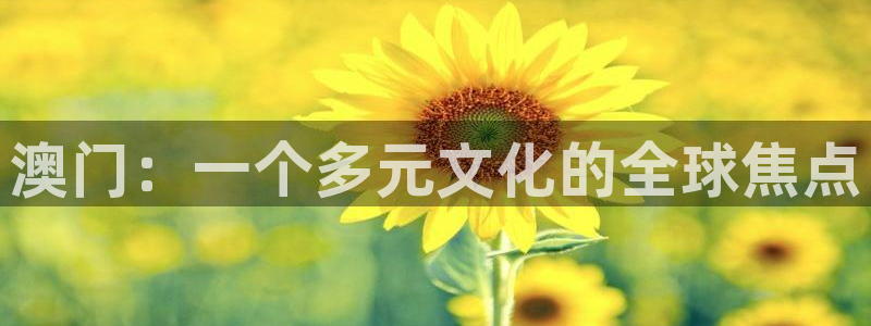 摩臣5平台,com：澳门：一个多元文化的全球焦点