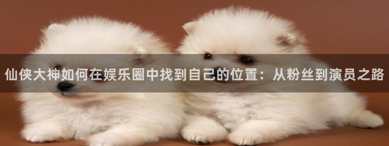 摩臣5平台在线预测：仙侠大神如何在娱乐圈中找到自己的位置：从粉丝到演员之路