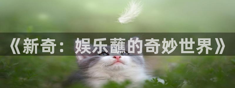 摩臣5平台网页版：《新奇：娱乐蘸的奇妙世界》